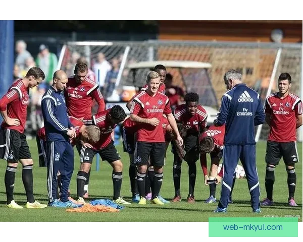 拜仁中场费尔南德斯租借纽伦堡